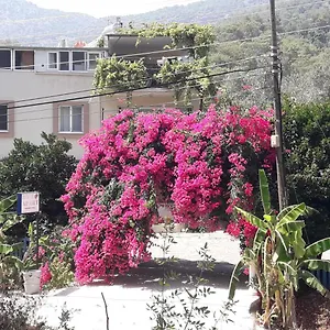 Rose Apartment Sarigerme
